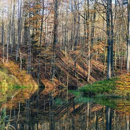 Rhoenzimmer * Findlos