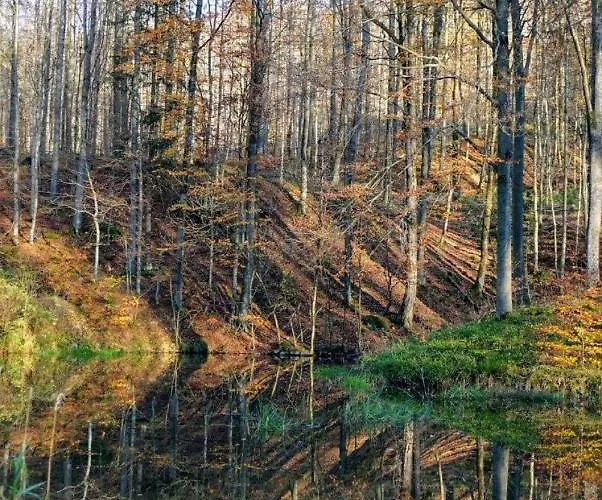 Rhoenzimmer * Findlos